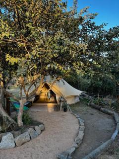 Los guayabos baja camp - 4