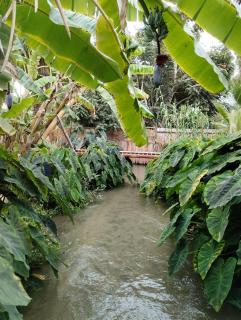 Los guayabos baja camp - 1