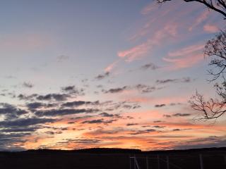 Secluded farmhouse in Texas by Caprock Canyons - 1