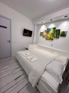 Comfortable 1-Bedroom Apartment in Bucharest Center - 4