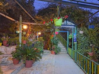 بيت الطبيعة nature house - Jerash - 3