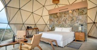 Bodega Alpasión Lodge y Glamping - Tunuyán - 9