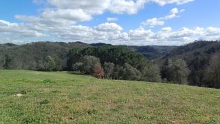 Glamping Podere Poggiagrilli - 8