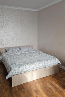 Двухкомнатная квартира в центре города - 1