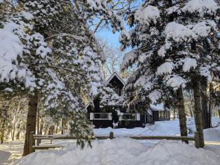 Loon Landing in Lake Tomahawk WI - 2