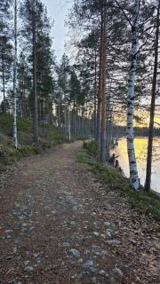 Kolin Saunaharju 1 - paritaloasunto - 8