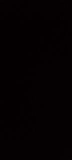 Bright Stars Camp - 5