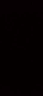 Bright Stars Camp - 4