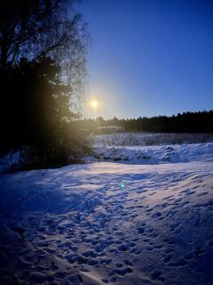 W lesie nad rzeką - 8