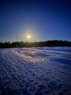 W lesie nad rzeką - 9