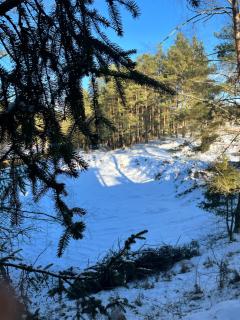 Osada Rolbik - Leśno - 8