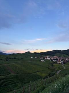 Chez Eugénie et Alphonse - 8