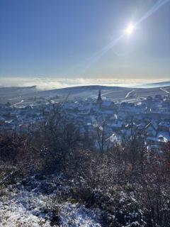 Chez Eugénie et Alphonse - 9