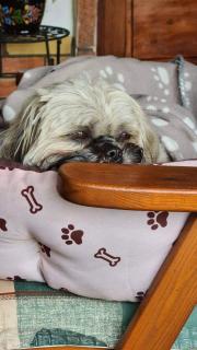 Tisza-tavi Menedék - 8