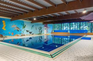 6 - Persoons Lakeside 17 Sauna Bungalow - Hernen - 9