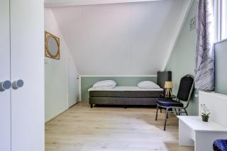 6 - Persoons Papillon - 9