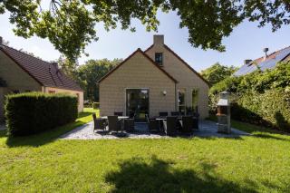 6 - Persoons Papillon - 3