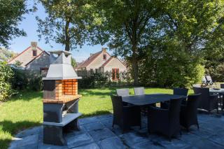 6 - Persoons Papillon - 2