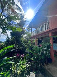 Hostel Zen - Casa na Floresta - 9