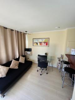 Apartamentos Providencia Suites - 6