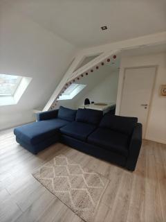 Cosy F2 clim parking center near basel boarder - 7