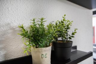 6 - Persoons Lakeside 61 Bungalow - 7