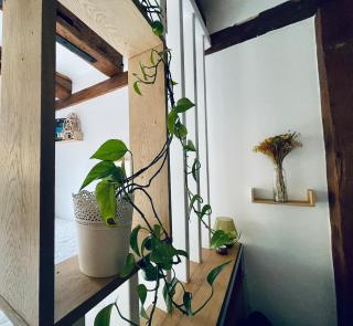 Charmant studio dans le vignoble proche Strasbourg - 6