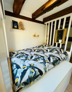 Charmant studio dans le vignoble proche Strasbourg - 1