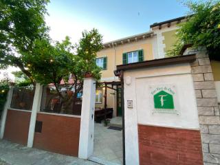 Fior Fior di Casa - Trieste - 2