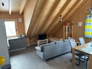 Holzliebe mit Donaublick - 5