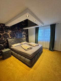 LifeStyle Apartment Sinsheim - 2
