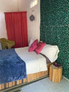 Bush Baby Compound - 7