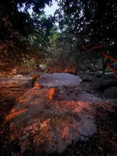 Finca Villa Esther con Piscina - 8