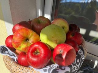 Green House kuća s 4 spavaće sobe - 3