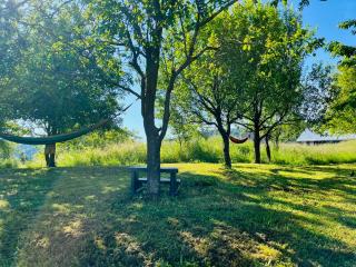 Green House kuća s 4 spavaće sobe - 6