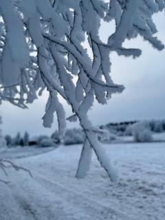 Det Vita Huset Gubbhögen - 3