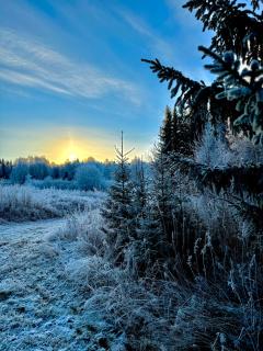 Det Vita Huset Gubbhögen - 4