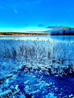 Det Vita Huset Gubbhögen - 5