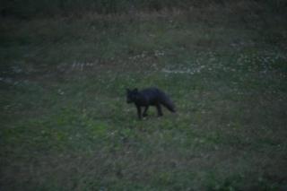 Det Vita Huset Gubbhögen - 6