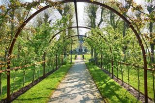 Cozy accommodation between greenery and history - 8