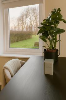 Cozy accommodation between greenery and history - 5