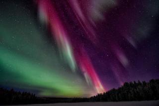 Lantlivlodge i Österjörn - Midgård - 9