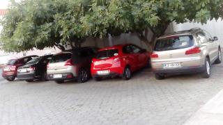 Apartments Katarina - Sveti Petar - 1