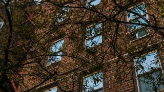 2 Bedroom Queen Beds Apartment - 3