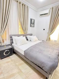 Stylish Luxe 2 Bedroom APT 2 - Maitama with Netflix, 247 Power & Wifi - 2