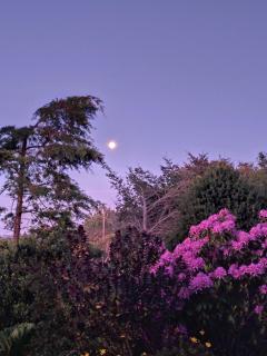 CABAÑA AZUL Y VERDE - 7