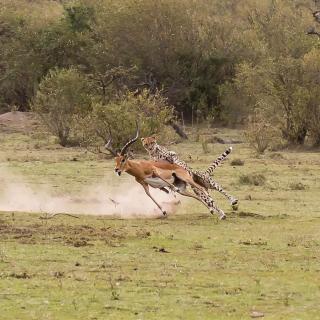 Nanja Mara Lodge - 7