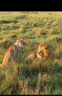 Nanja Mara Lodge - 9