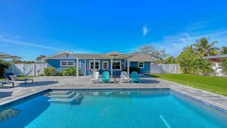 Viva La Flamingo - 0