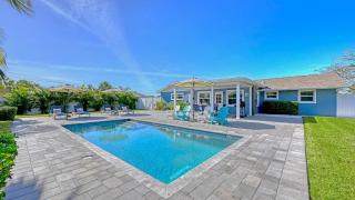 Viva La Flamingo - 5